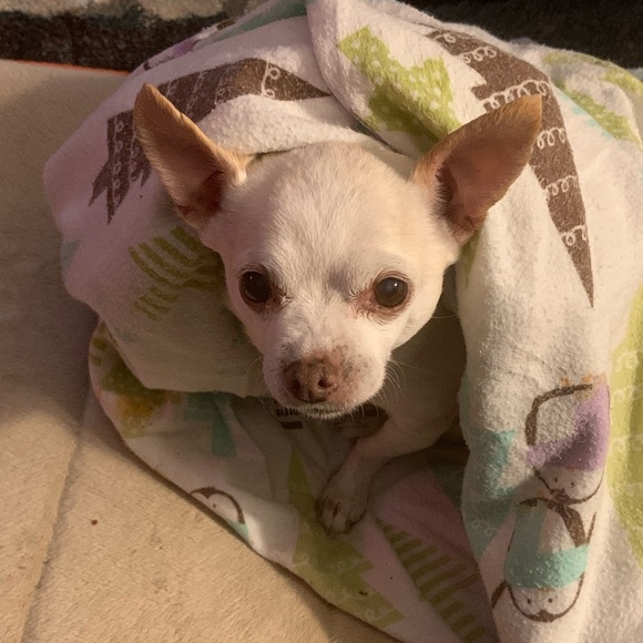 Meet your Posher, J - Picture 1 of 1